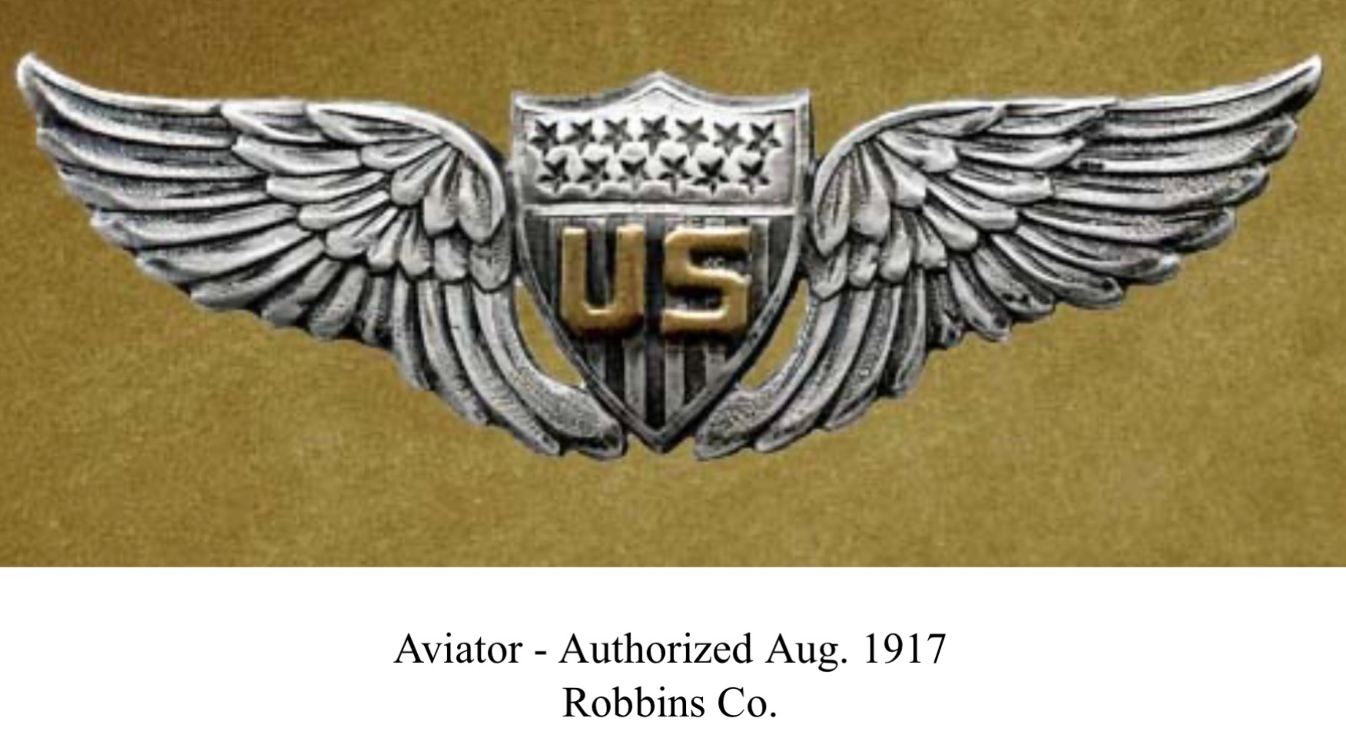 United States Army Air Corps Aviator