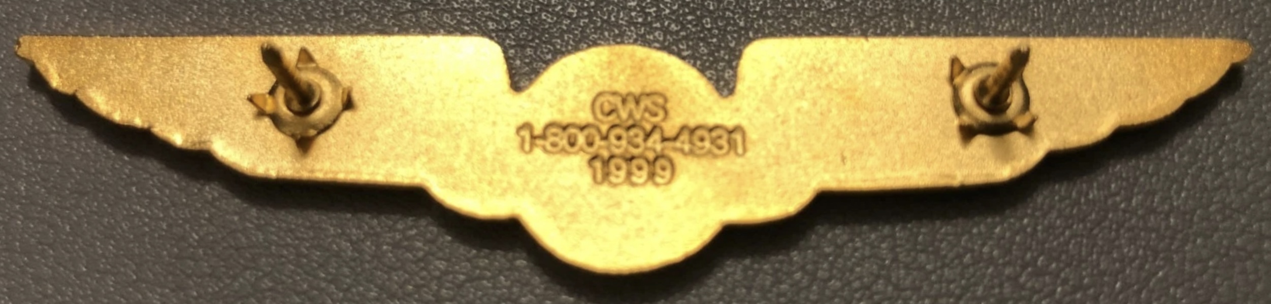 Image of All Check Pilot wing