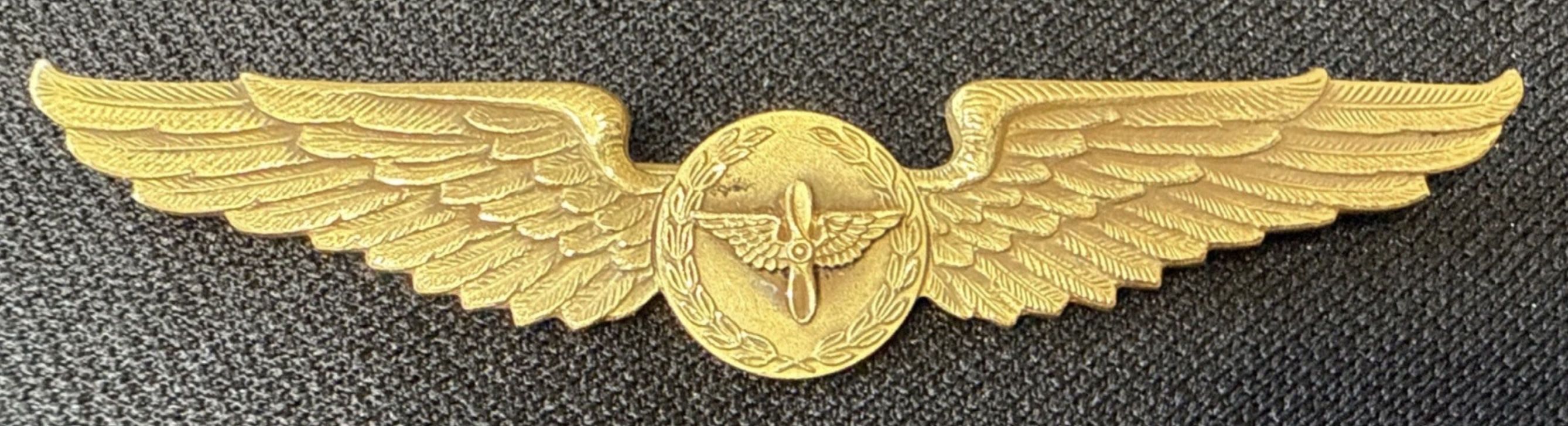 Army Air Force Civilian Instructor Pilot