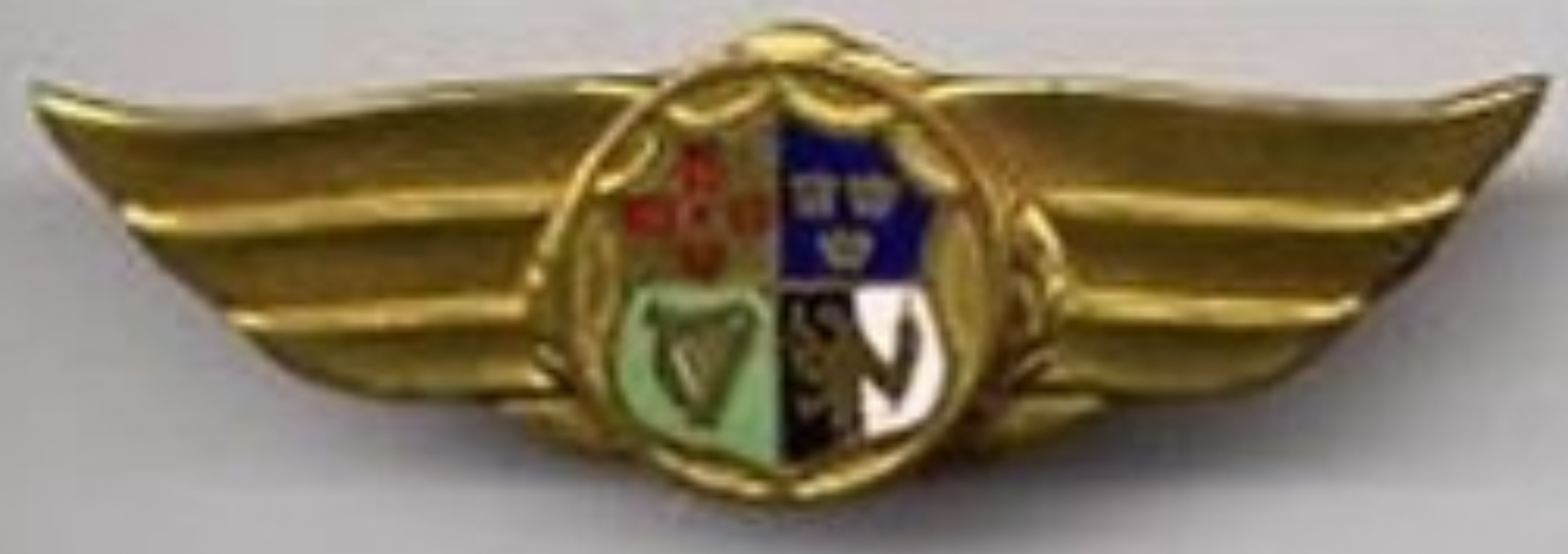 Aer Turas Teoranta Pilot