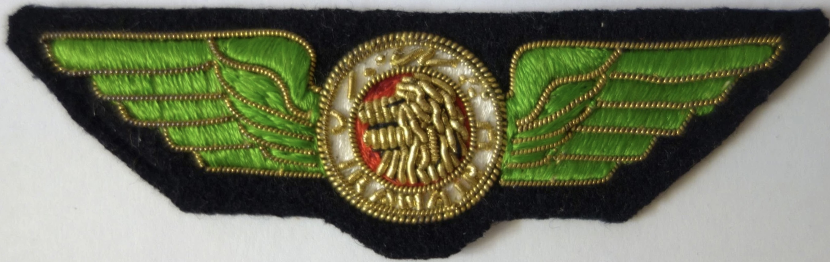 Iranair (Iranian Airways) Pilot