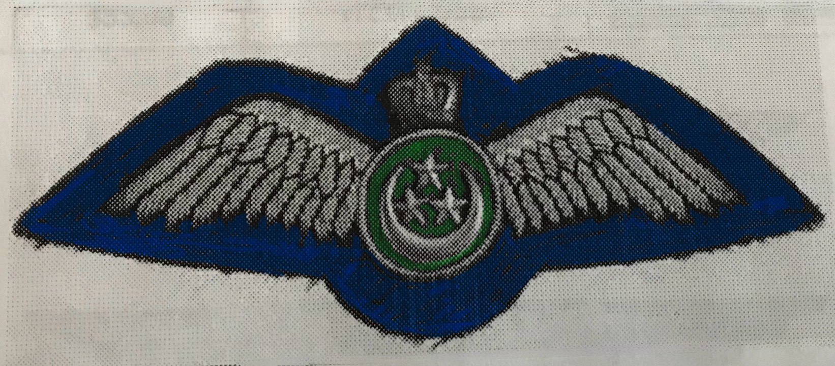 Egypt Air Force Pilot