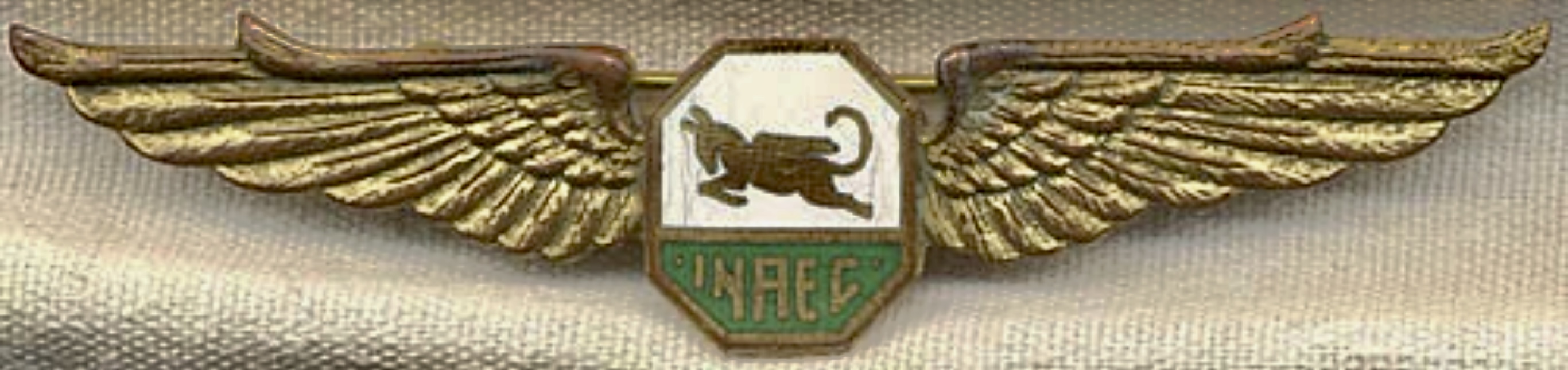 Iloilo-Negros Air Express Co. (INAEC) Pilot