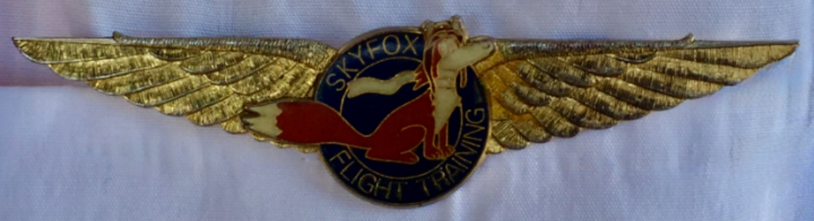 Skyfox Flight Training Pilot