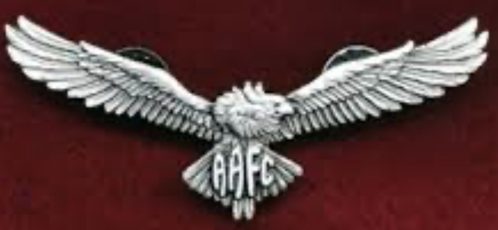 Australian Air Force Cadets (AAFC) Pilot
