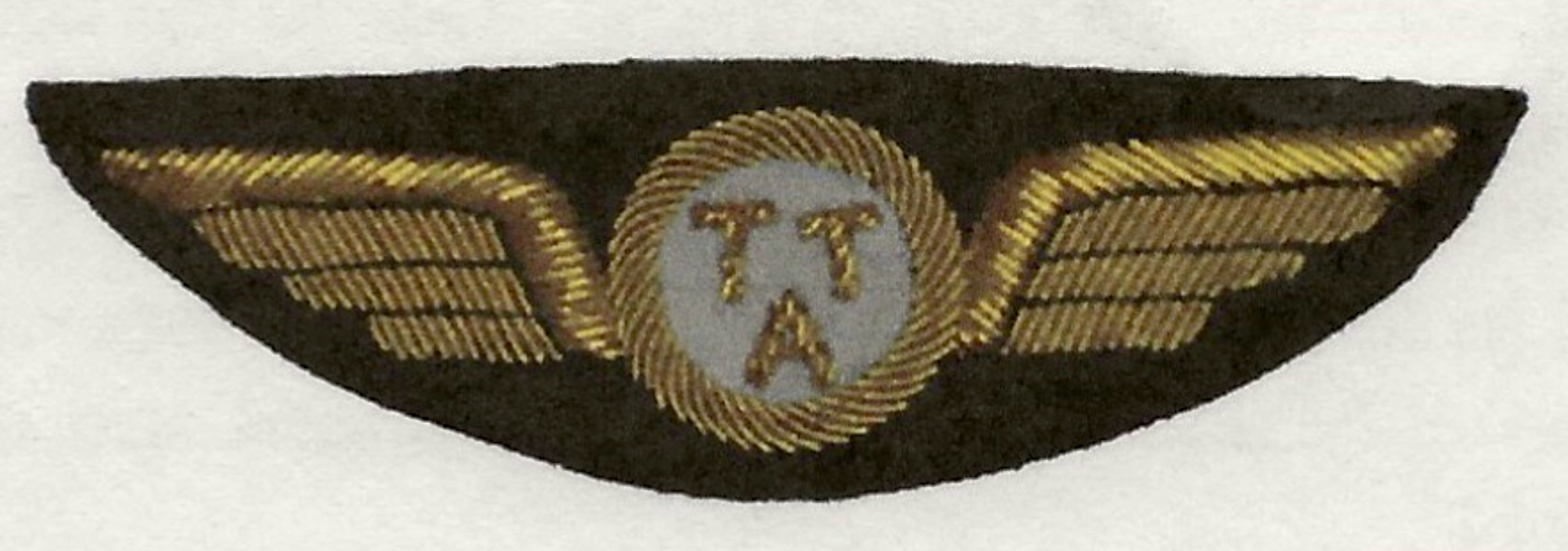 Image of Terry Air Transport (TAT) Pilot wing