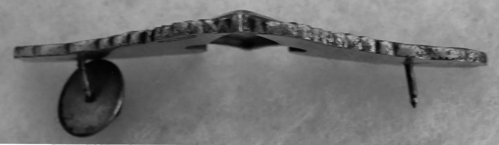 Image of Army Air Forces Women Airforce Service Pilot (WASP) Women Airforce Service Pilot (WASP) wing