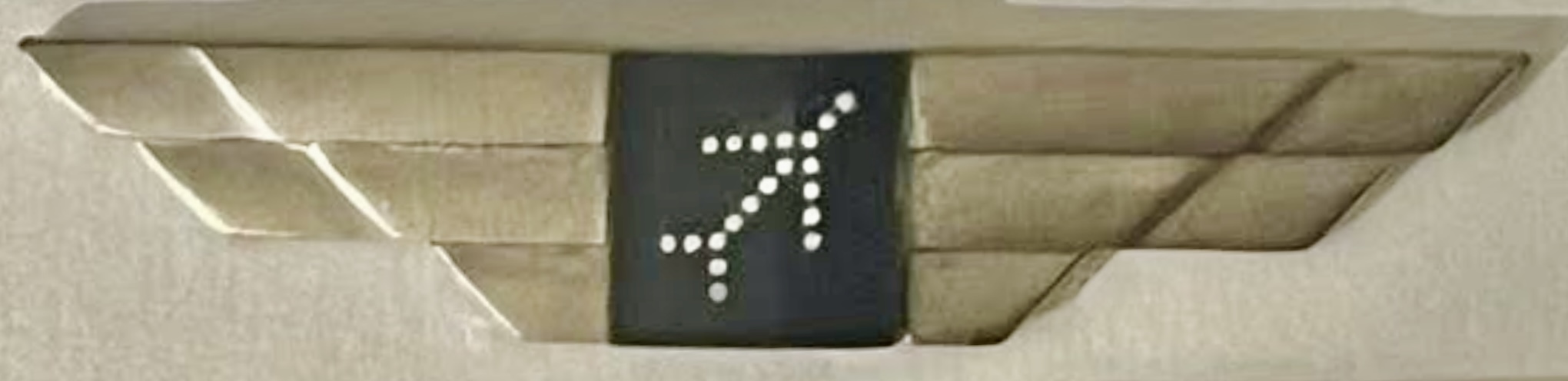 IndiGo (InterGlobe Aviation Limited) Pilot