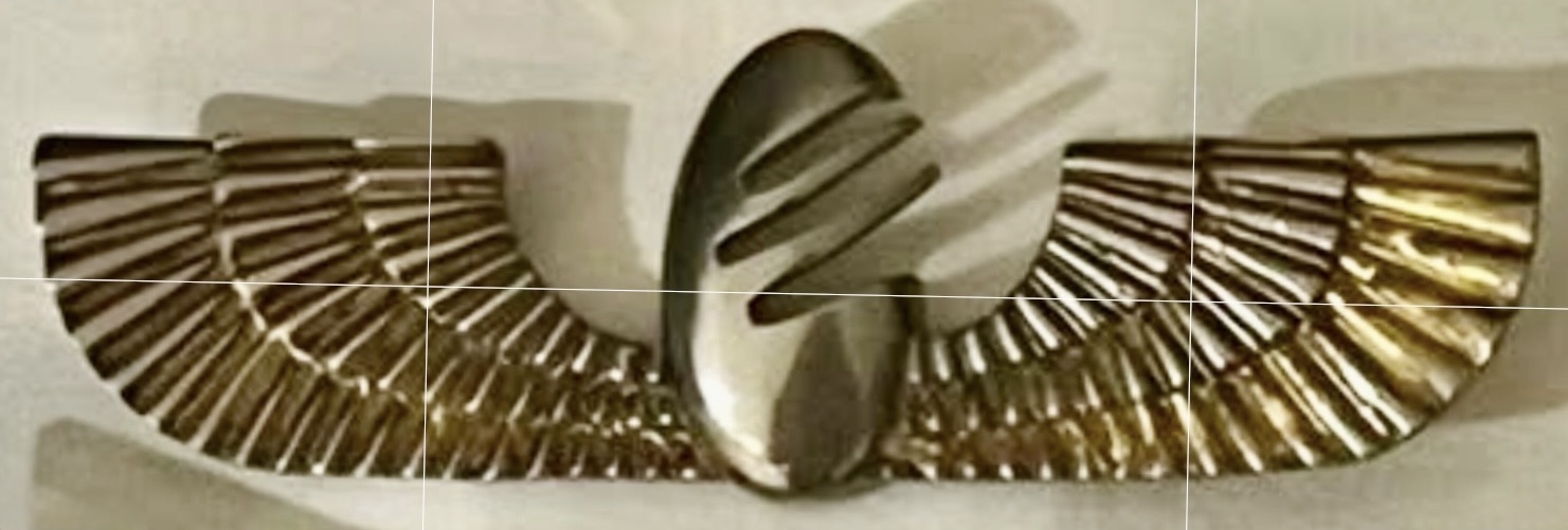 Image of Jet Airways Pilot or Flight Attendant Unknown wing