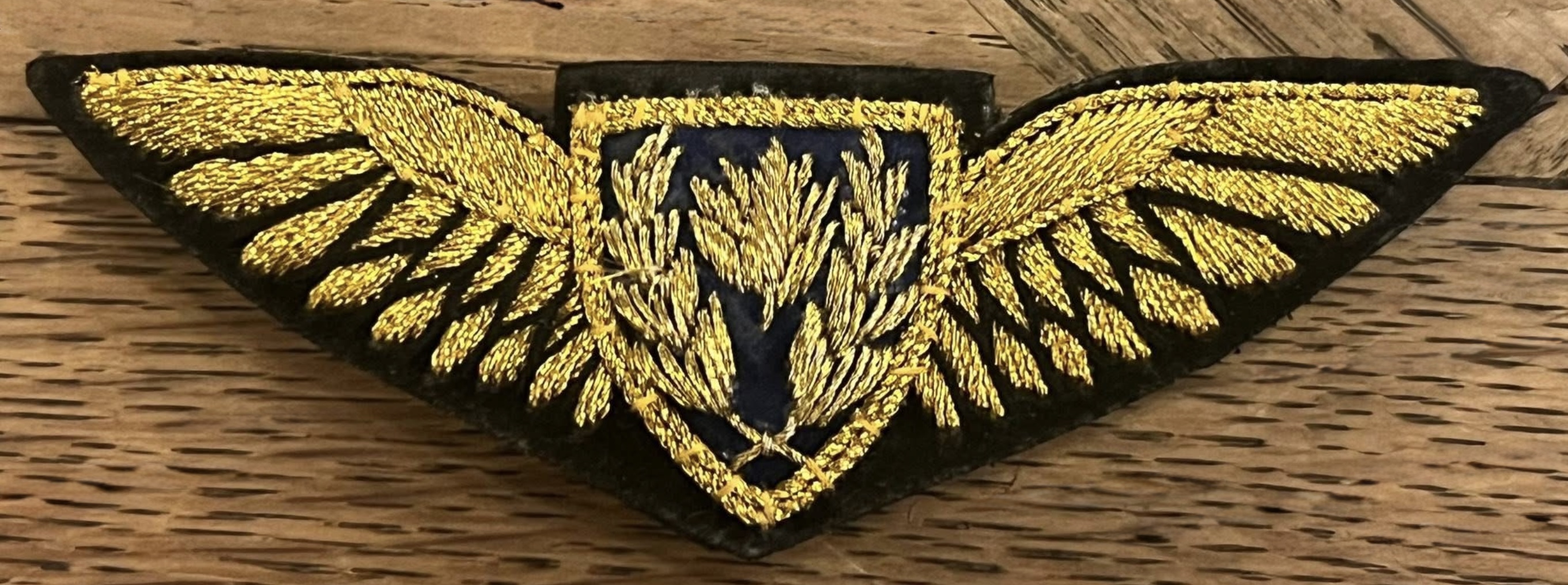 Biman Bangladesh Airlines Pilot