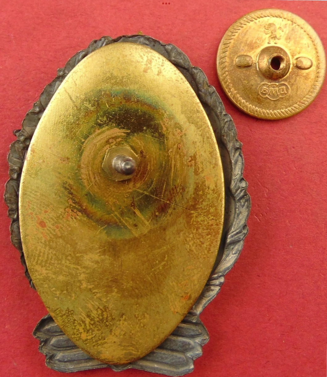 Image of Air Force Pilot Class 3 wing