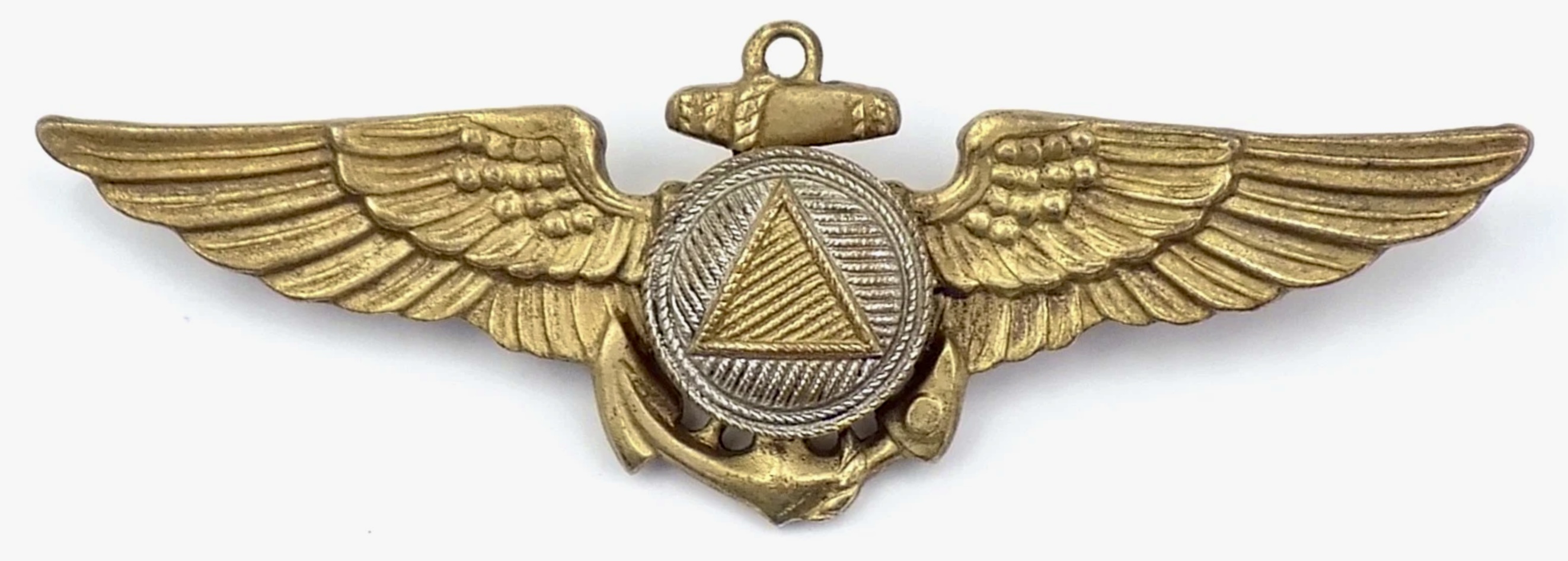 National Oceanic and Atmospheric Administration (NOAA) Pilot