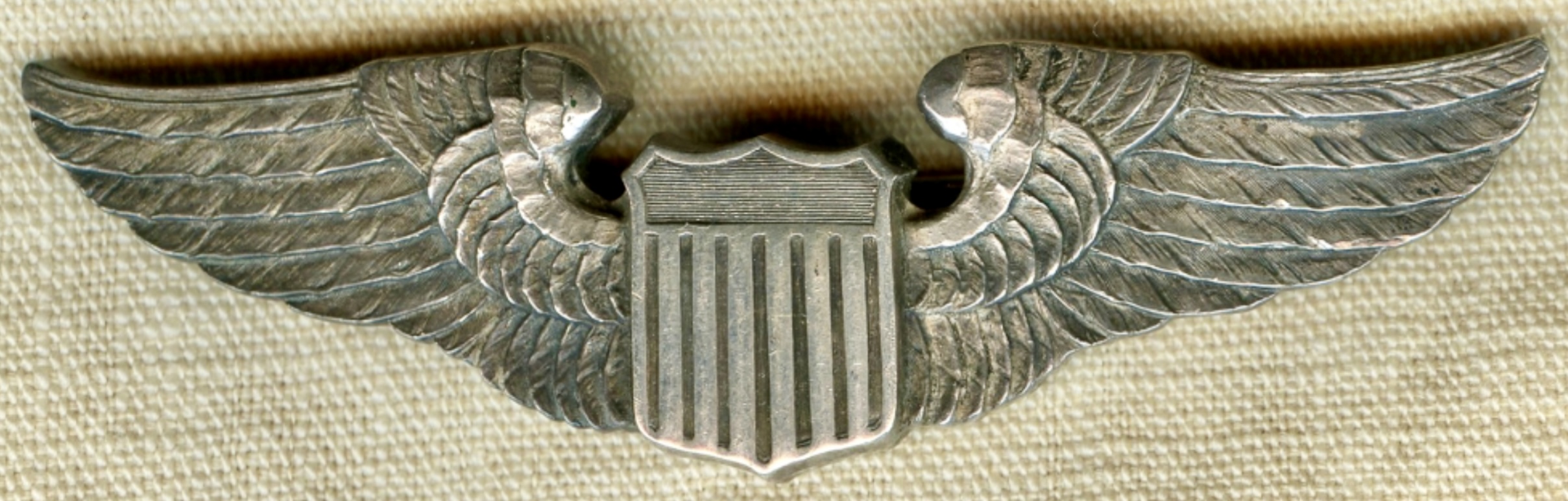 United States Army Air Forces Pilot