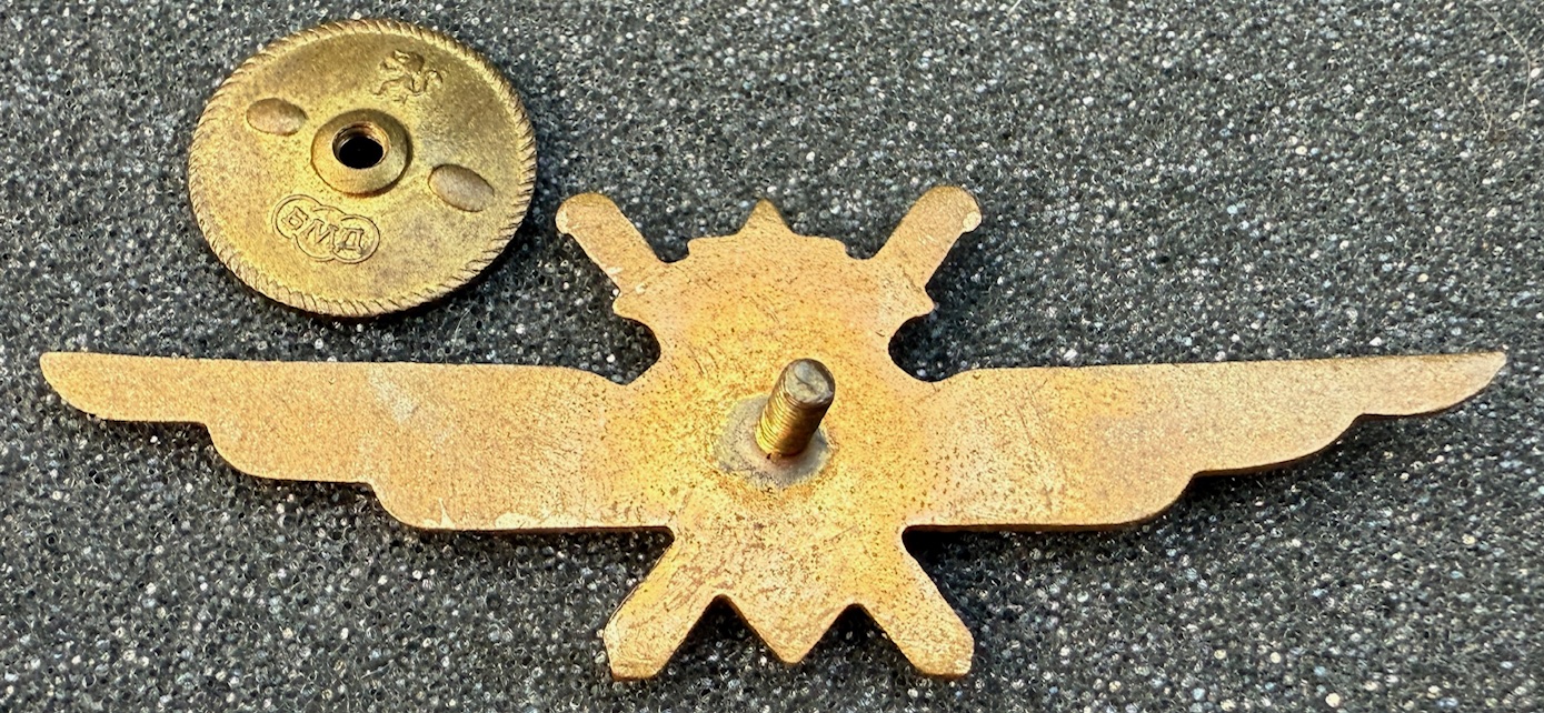 Image of Air Force Pilot Class 3 wing