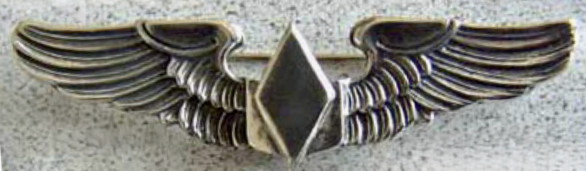 United States Army Air Forces Women Airforce Service Pilot (WASP)