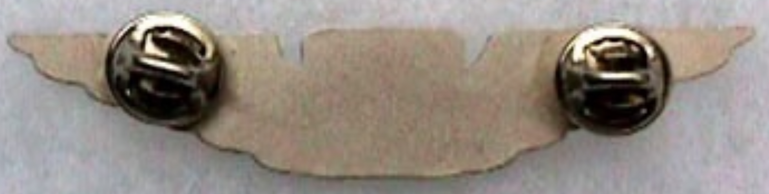 Image of Unknown - LA  wing