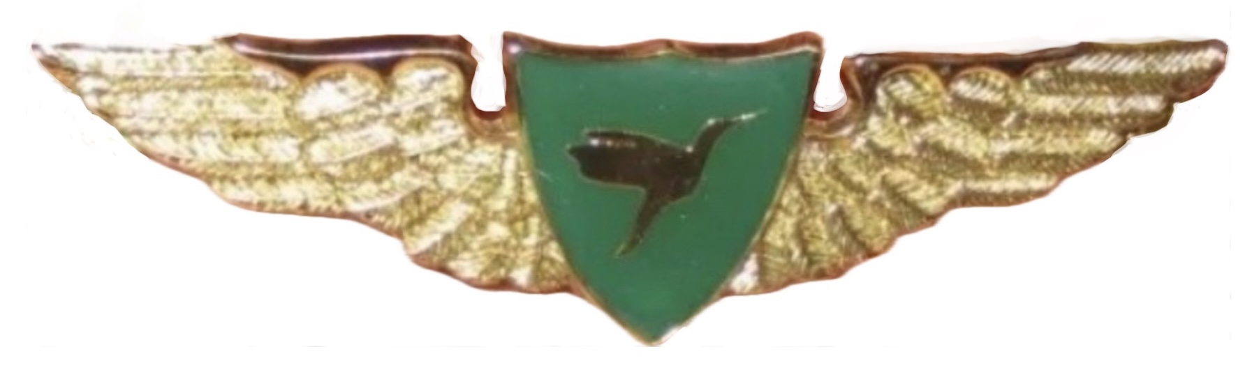 Aerolíneas Internacionales Pilot