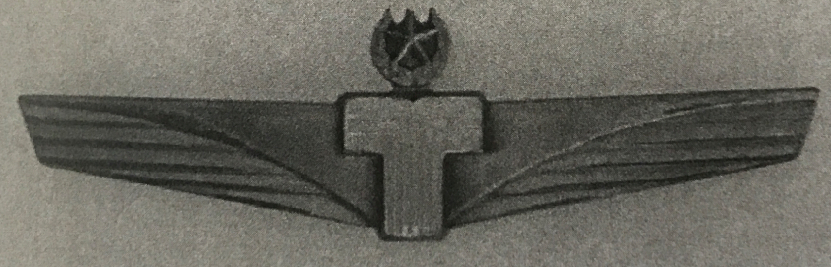 Image of Trans International Airlines (TIA) Captain wing