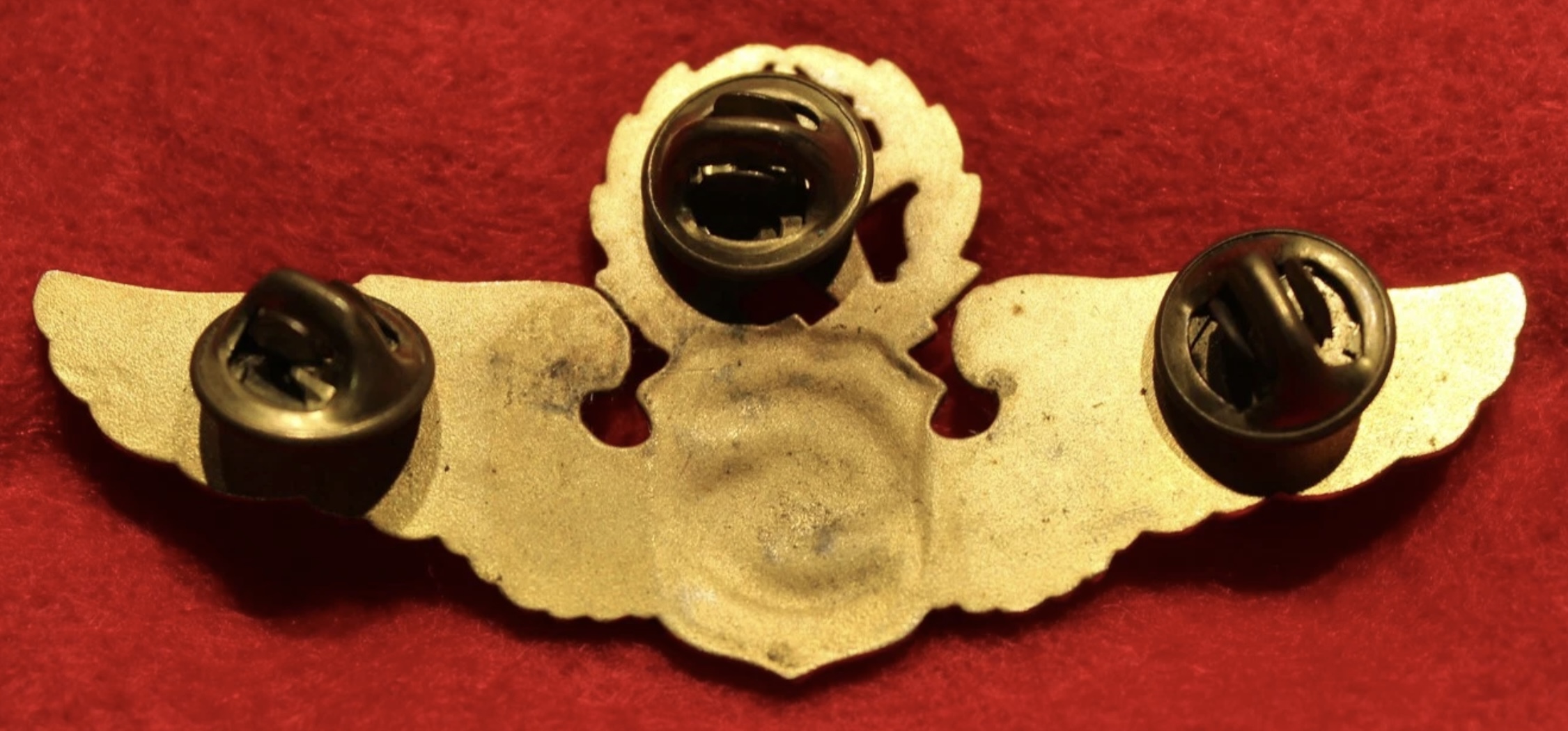 Image of Reserve Airlift and Tactical Support Services (RATSS) Pilot wing