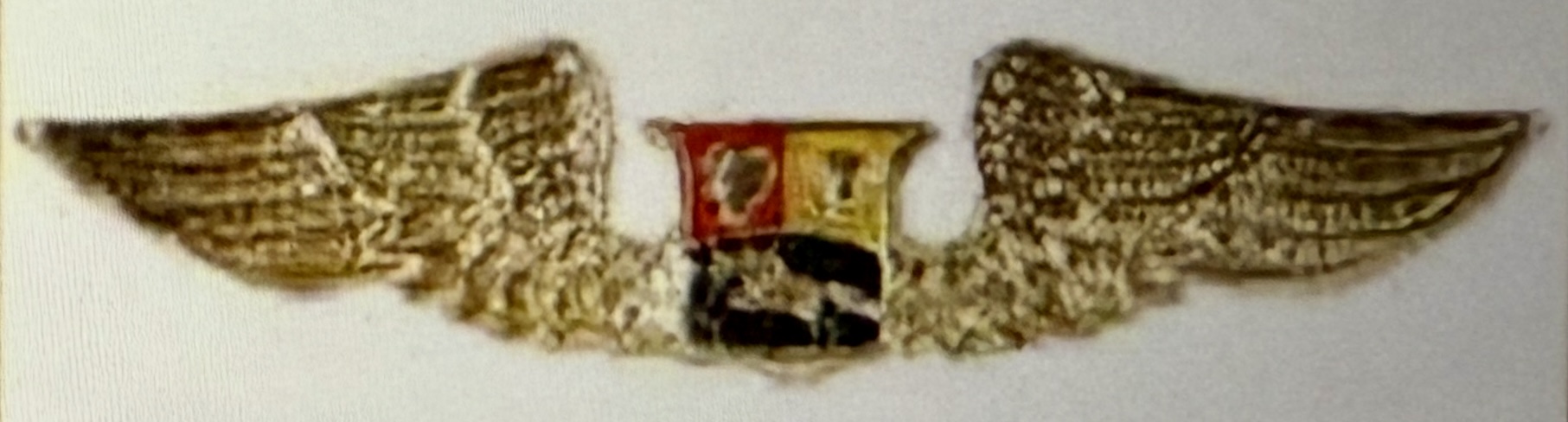 Venezuela Bolivarian Military Aviation Air Force Pilot