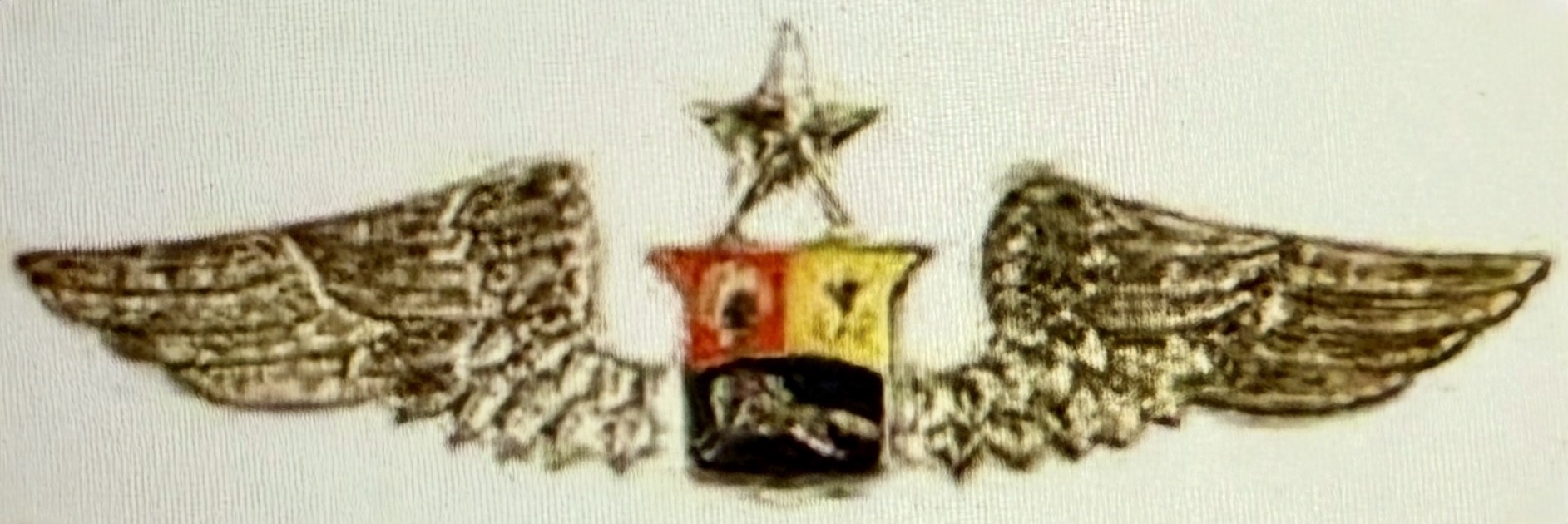 Venezuela Bolivarian Military Aviation Air Force Senior Pilot