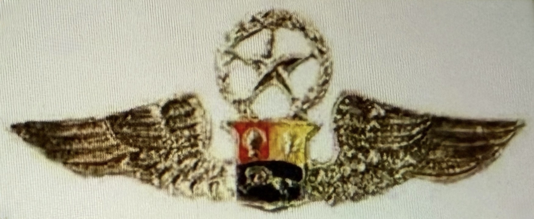 Venezuela Bolivarian Military Aviation Air Force Command Pilot