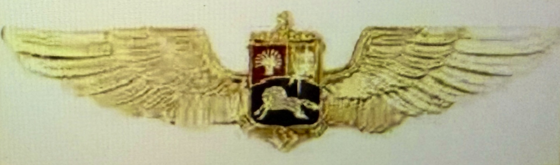 Venezuela Bolivarian Navy Third Class Pilot