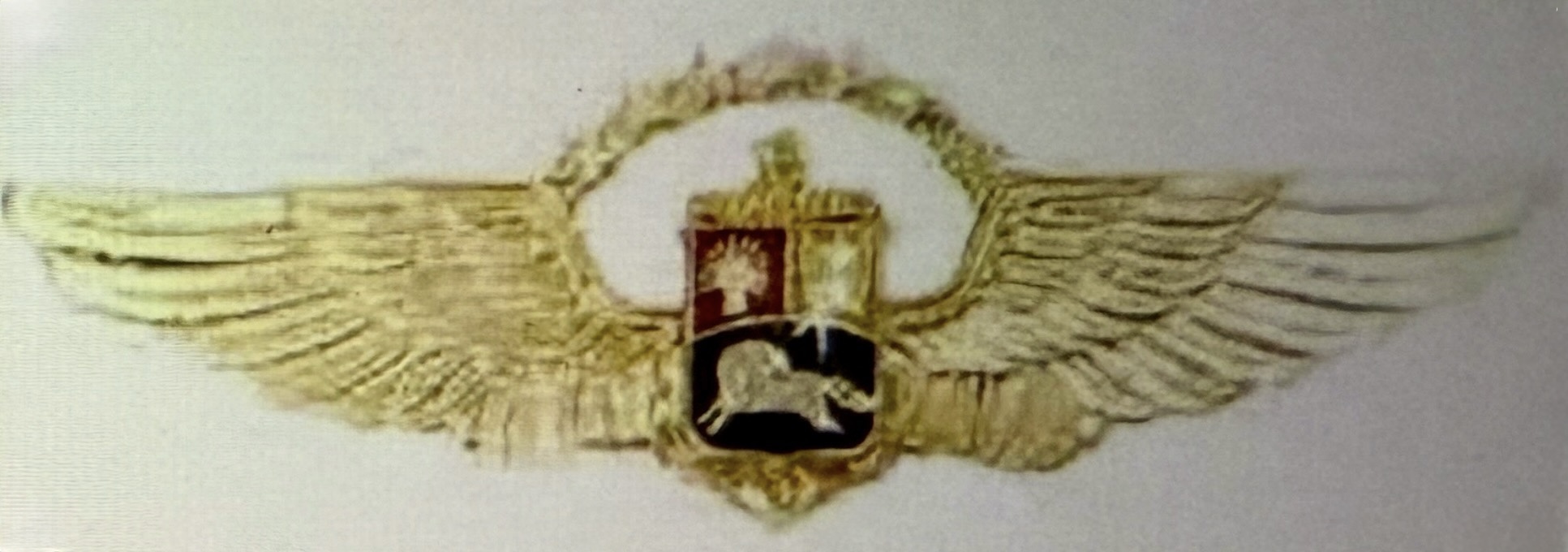 Venezuela Bolivarian Navy Second Class Pilot