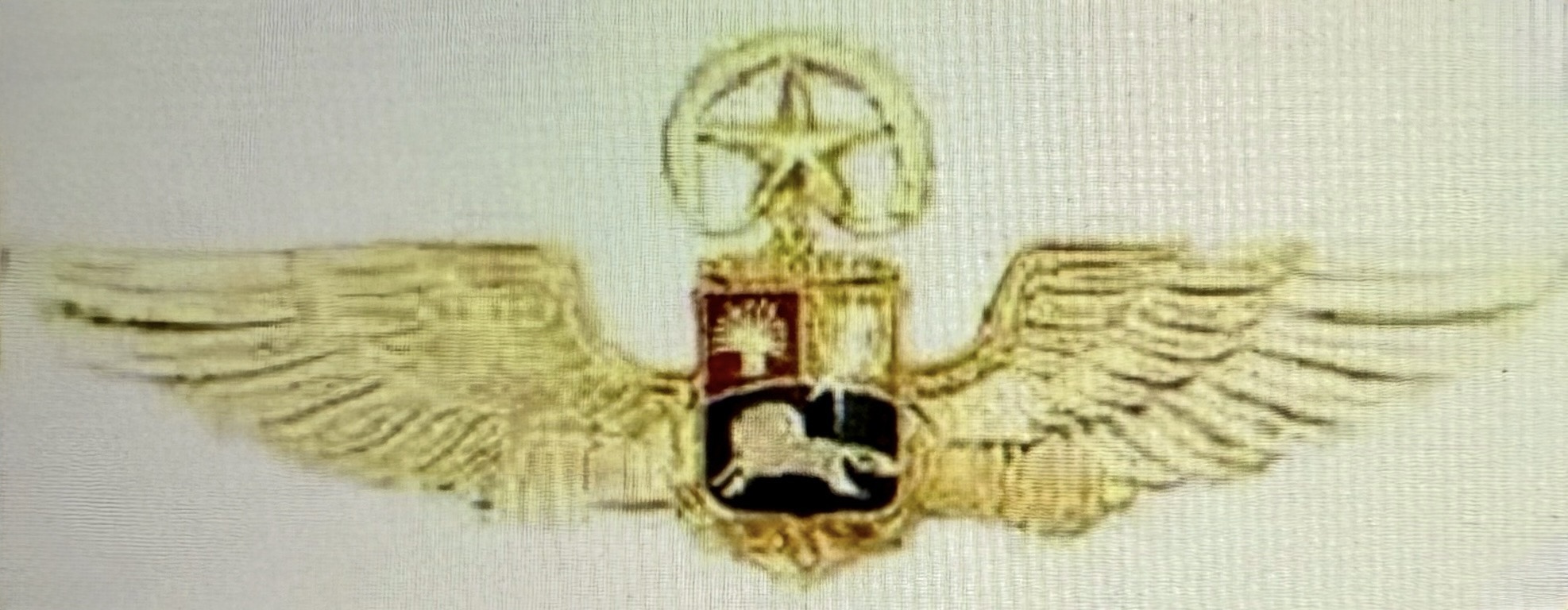 Venezuela Bolivarian Navy First Class Pilot