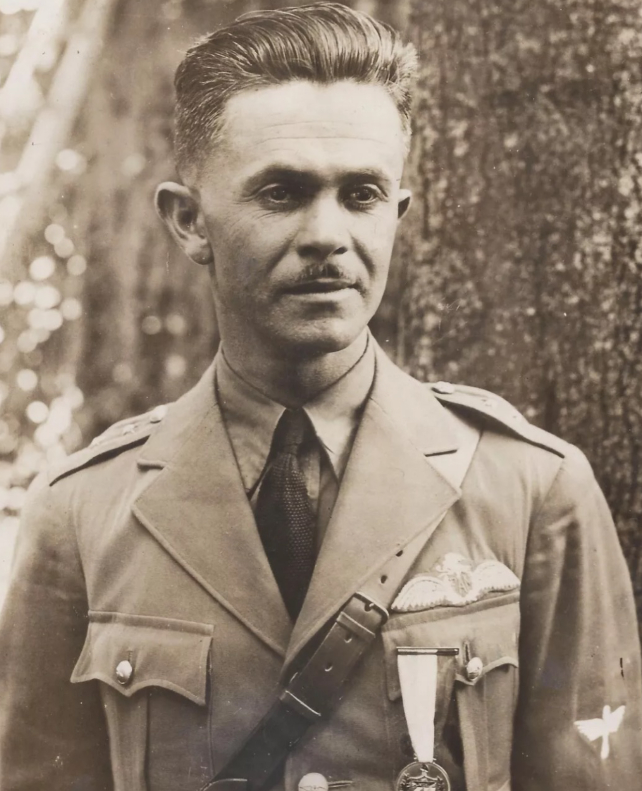 Image of Air Force (FAM) Pilot wing