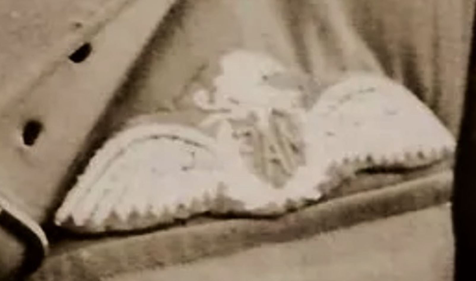 Image of Air Force (FAM) Pilot wing