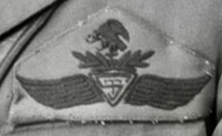 Mexico Secretaria del Transito (ST) Pilot