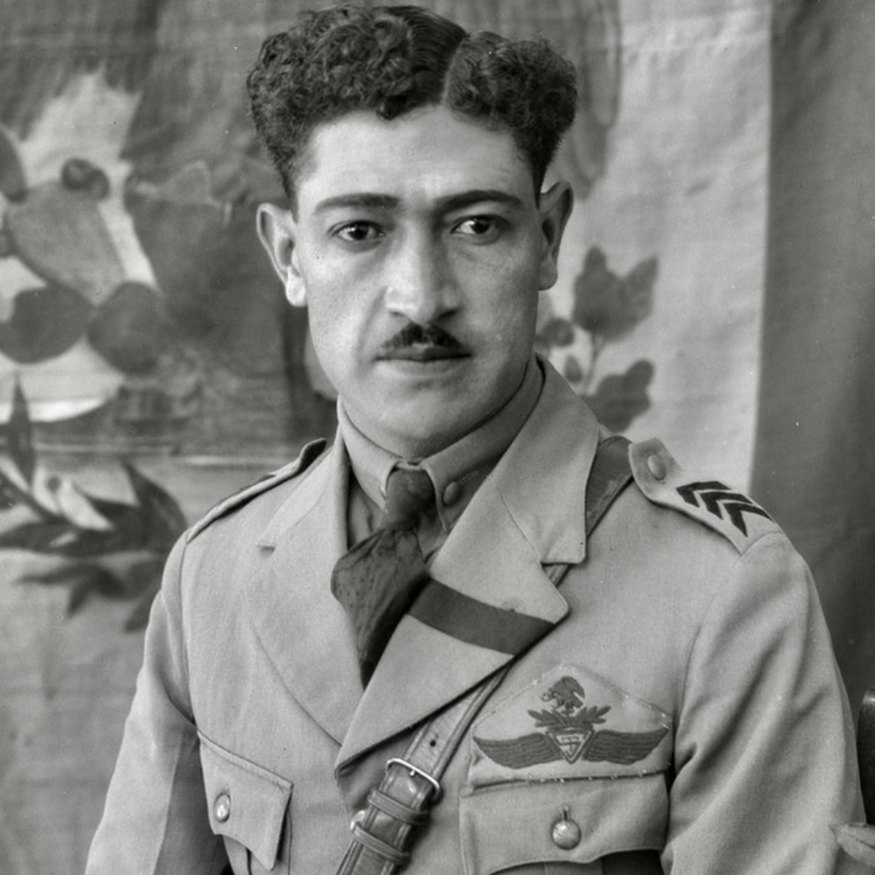 Image of Secretaria del Transito (ST) Pilot wing