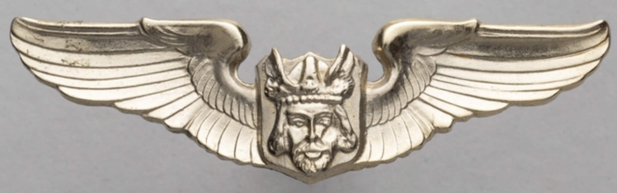 Viking Air Lines Pilot