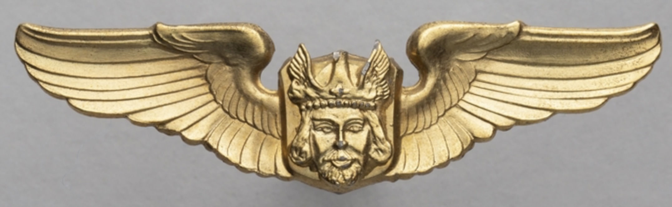 Viking Air Lines Pilot