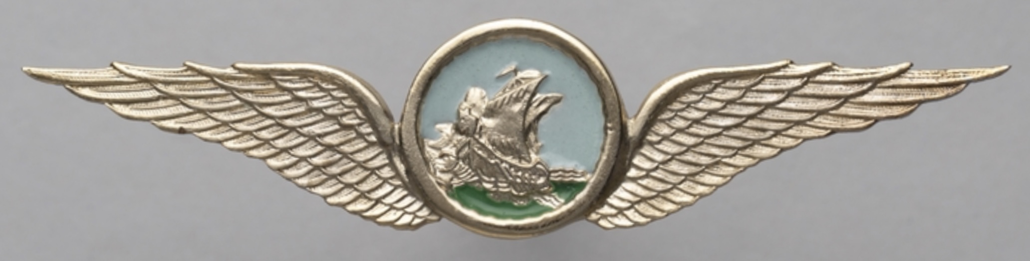 Viking Air Lines Pilot