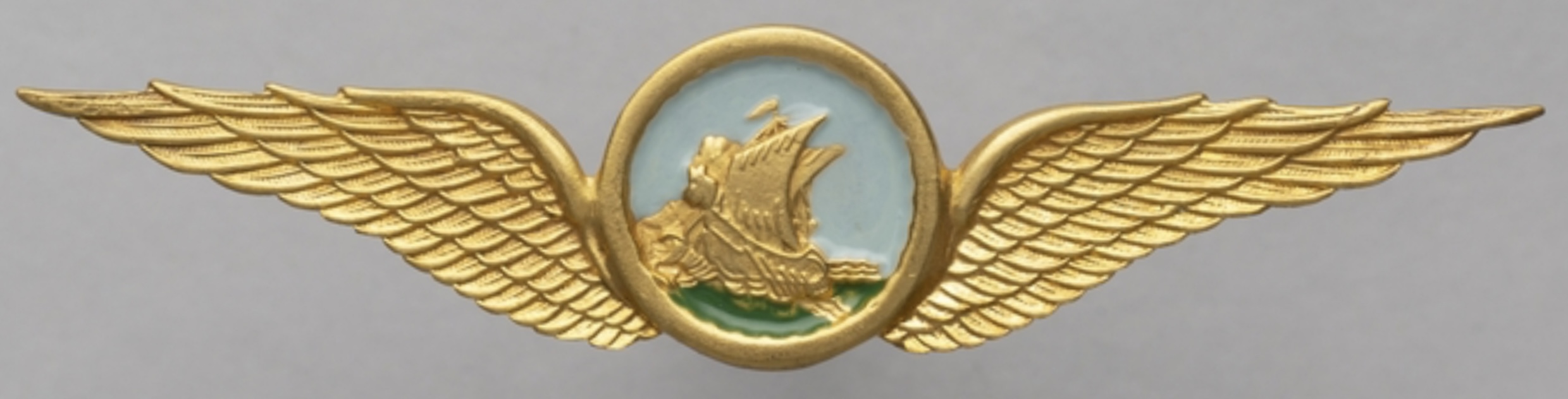 Viking Air Lines Pilot