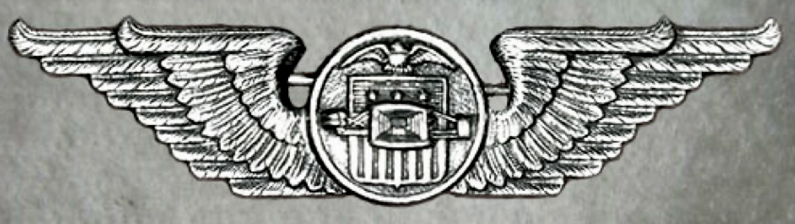 Civil Aeronautics Administration (CAA) War Training Service Pilot