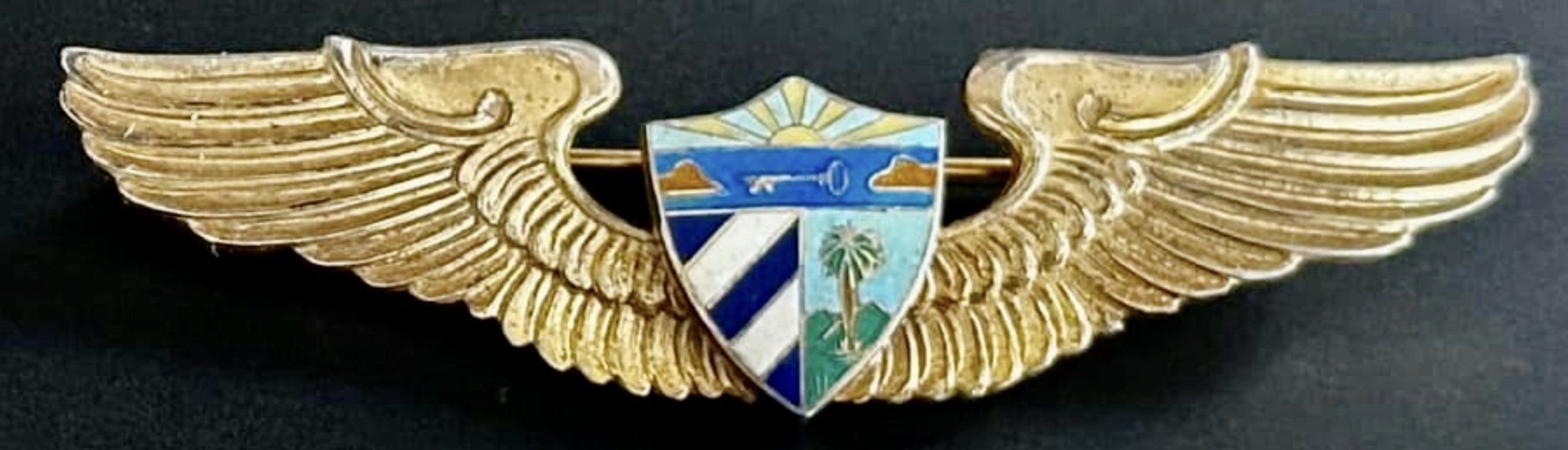 Image of Army Pilot wing