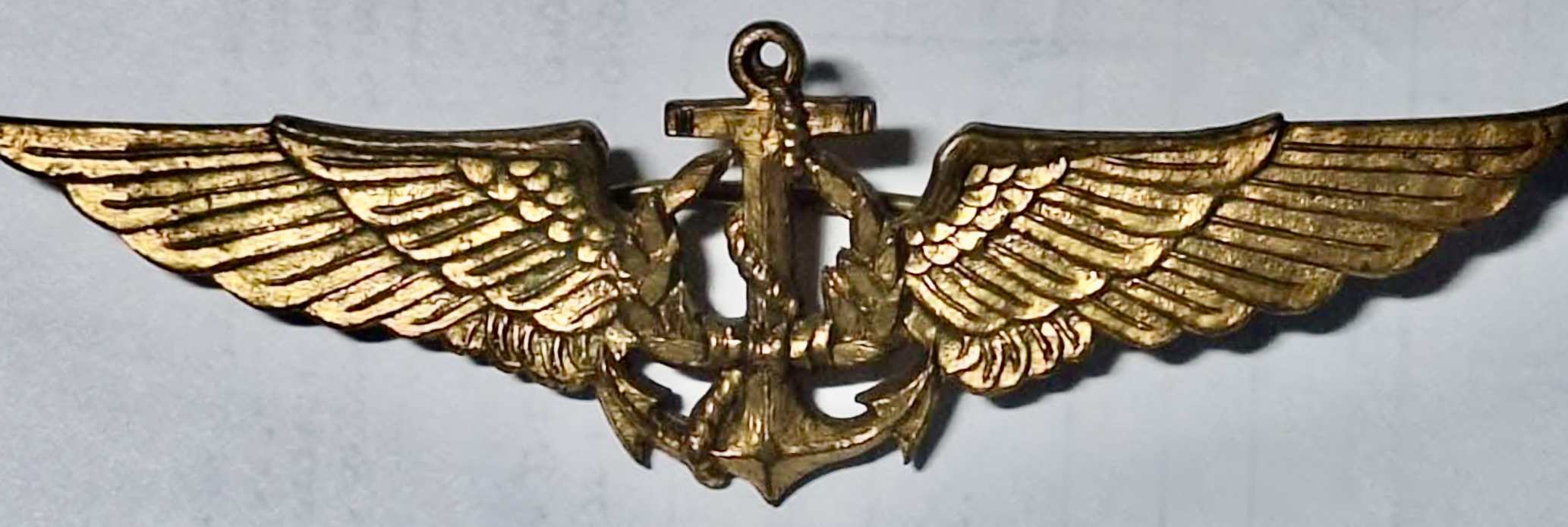 Indonesia Navy Pilot