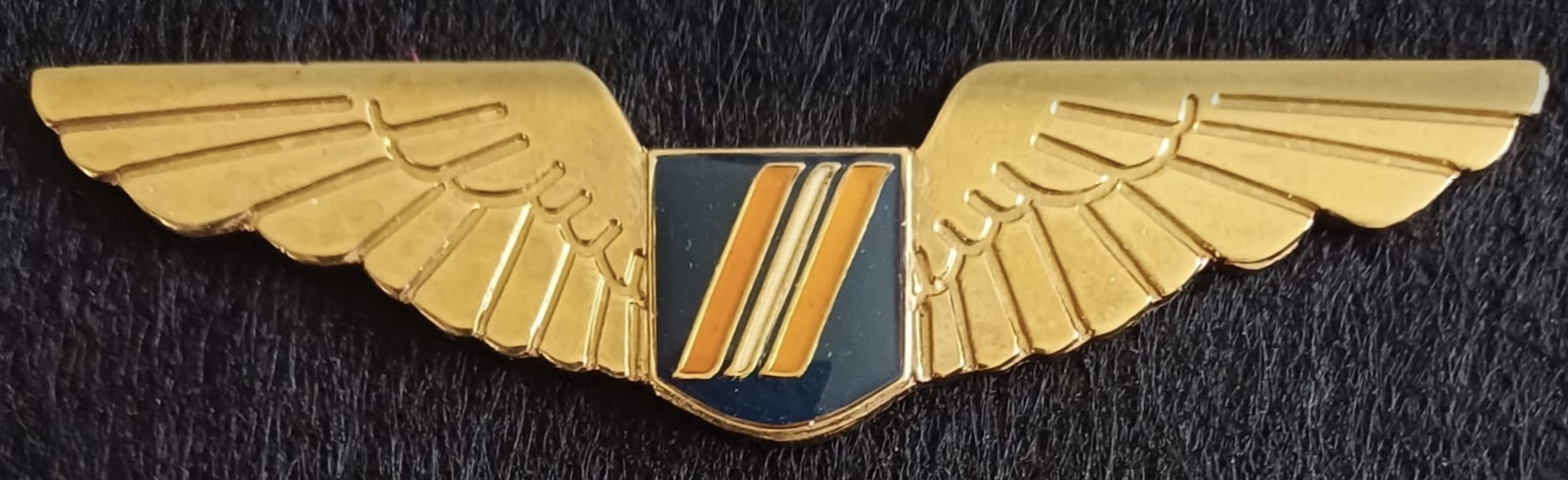 South African Express Airways (SA Express) Pilot