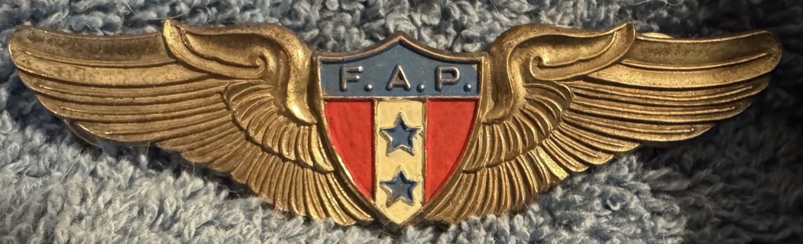 Panama Air Force (FAP) Pilot