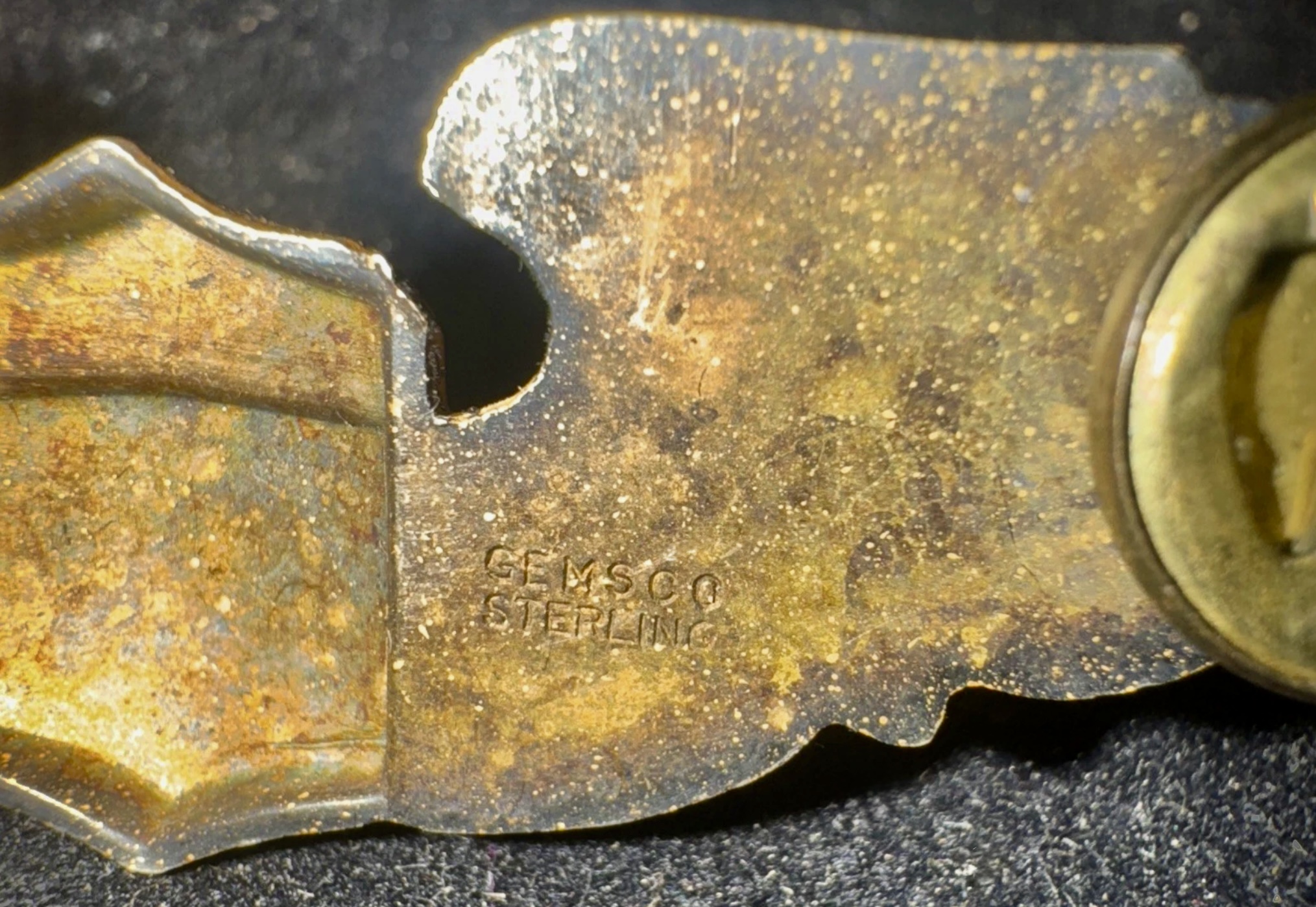 Image of Unknown - FIS Pilot wing