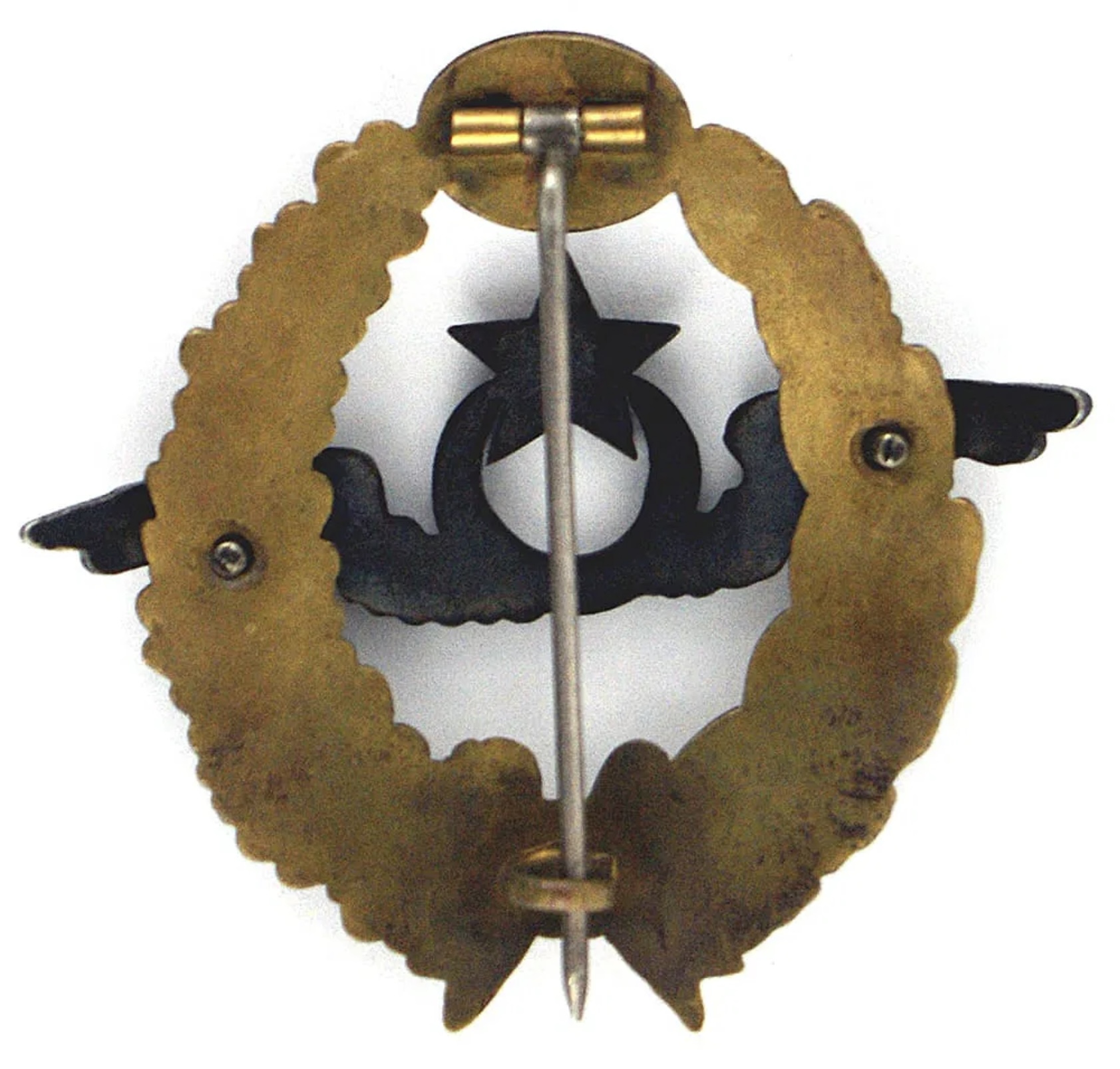 Image of Army Pilot wing