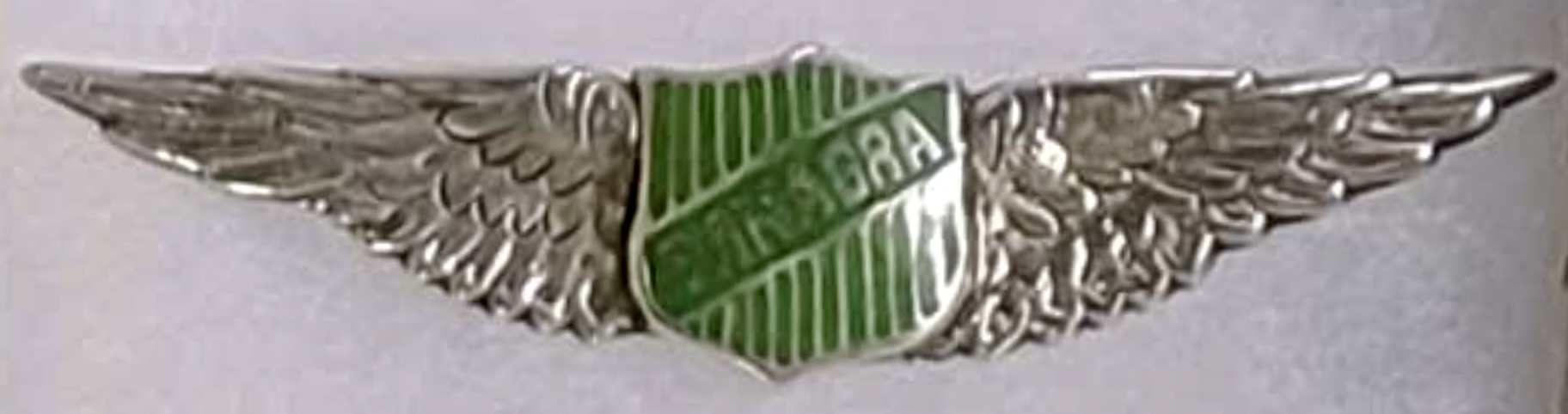 Panagra - Pan American Grace Airways Pilot