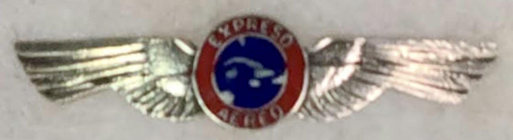 Image of Expreso Aereo Pilot wing