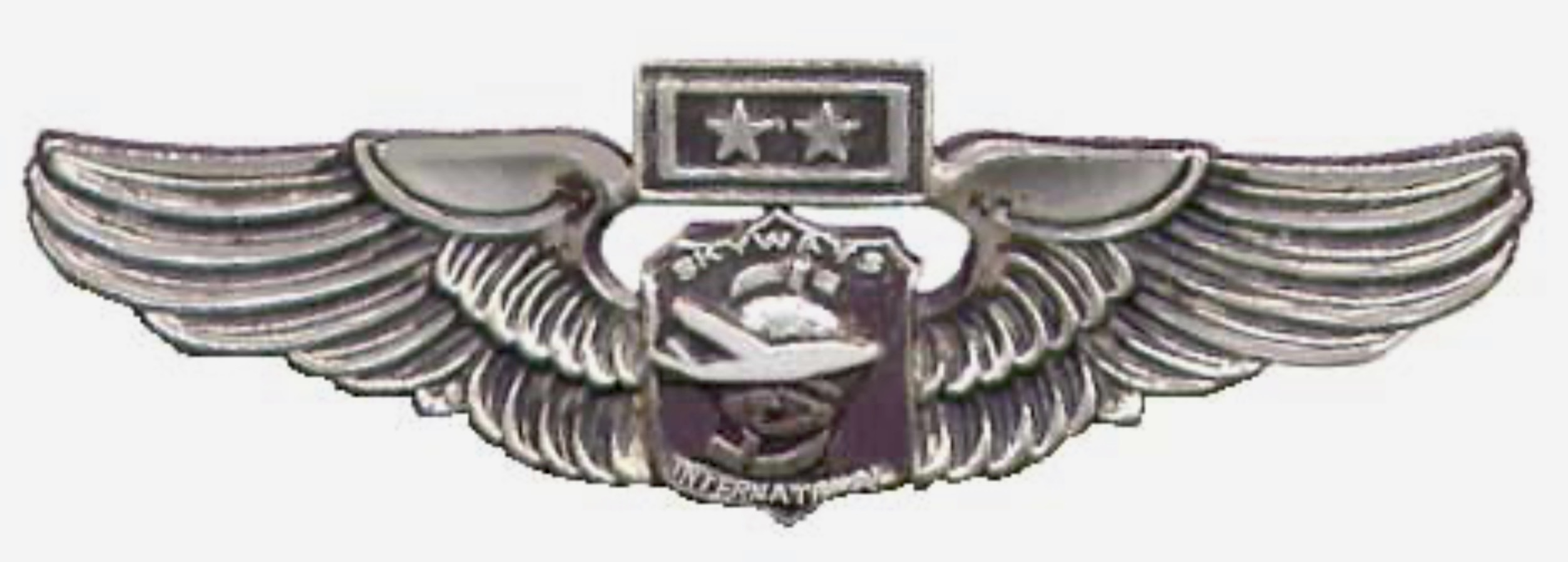 Skyways International Trading & Transport Co. First Officer