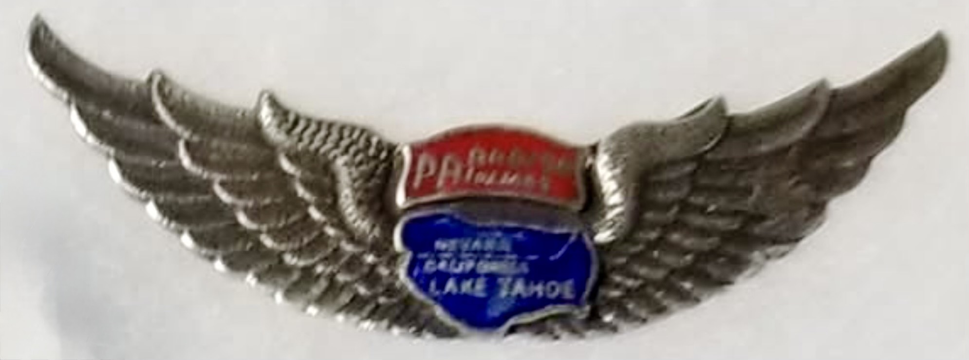 Paradise Airlines Pilot