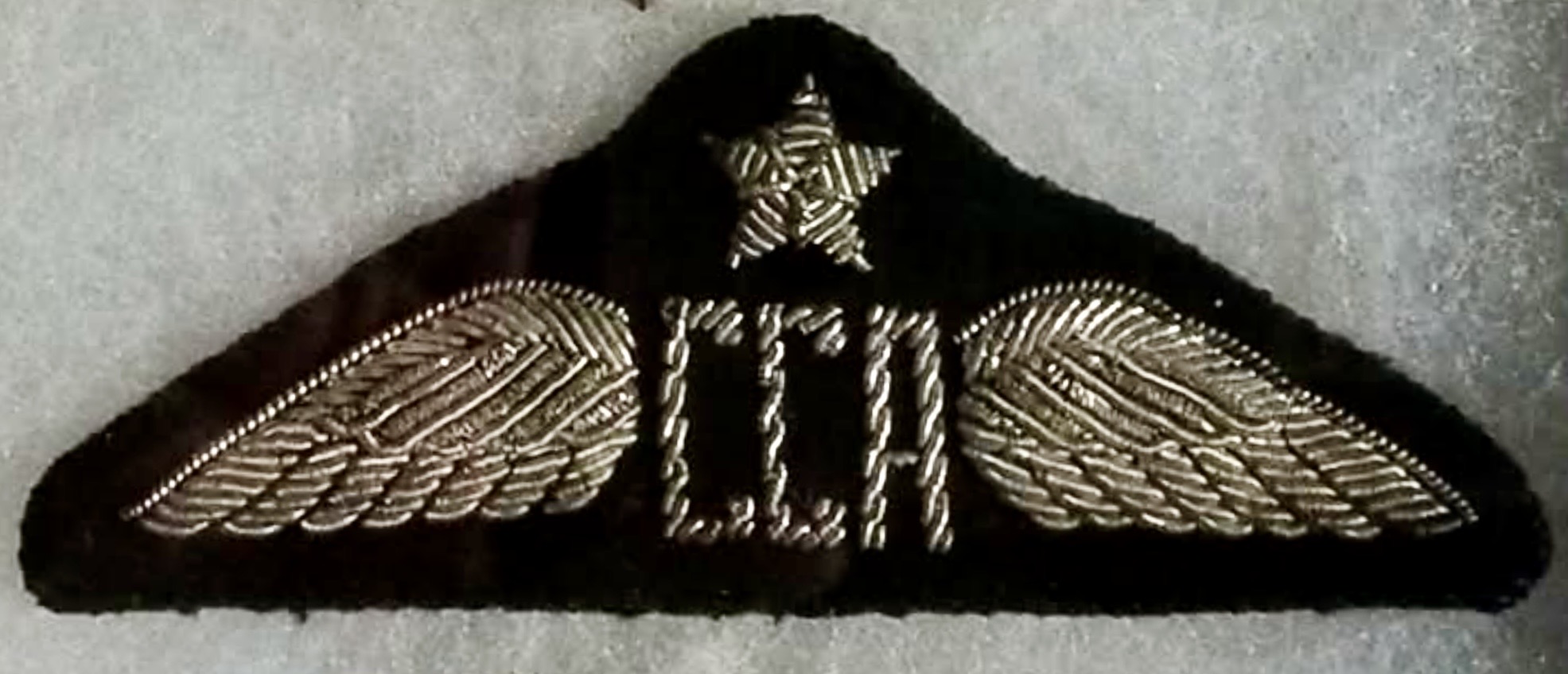 California Central Airlines (CCA) Pilot