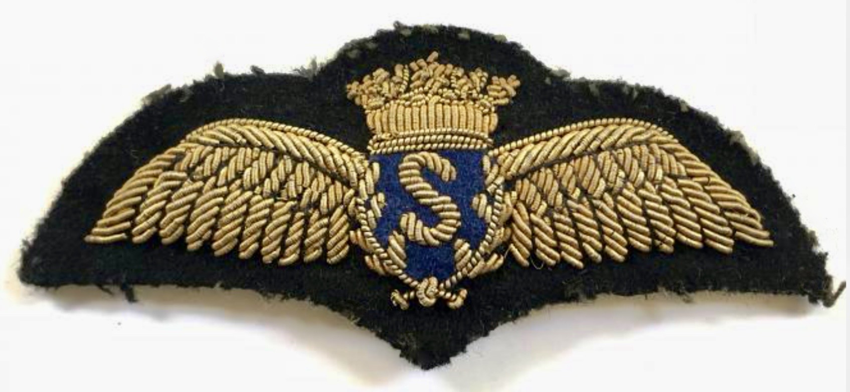 Solar Air Services Pilot